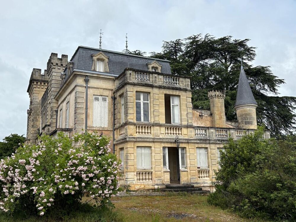 � vendre  Propri�t�/ch�teau Capian (33550)