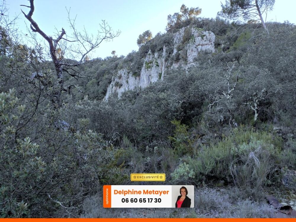 Vente Terrain Terrain boisé d'environ 2 hectares en pleine nature, Varages / Verdon Varages