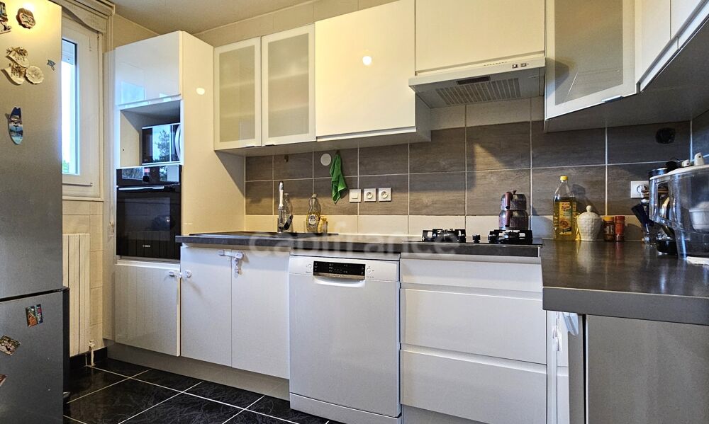 Maison à vendre 3/4 pièces SERMAISES (45)