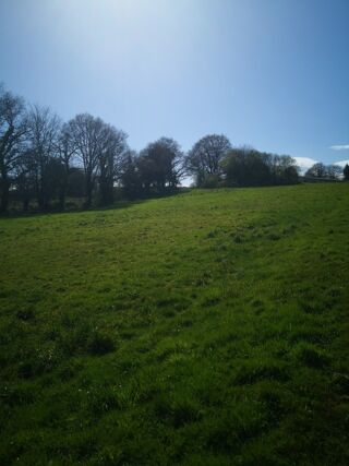  Terrain � vendre 13000 m�