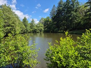  Terrain � vendre 18994 m�