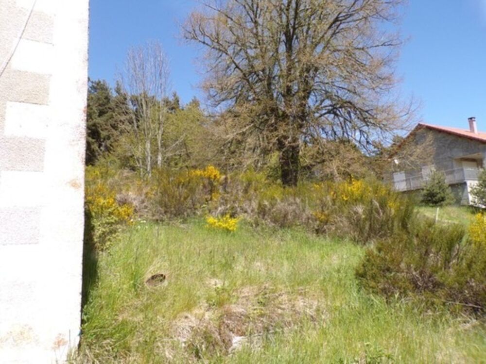 Vente Terrain Dpt Lozère (48), à vendre ROCLES Idéal investisseur terrain viabilisé 1078m² environ Rocles