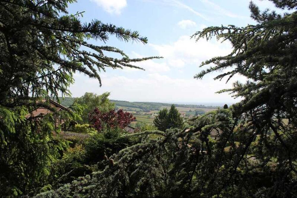 Vente Maison Dpt Saône et Loire (71), à vendre proche MACON maison P9 de 239m² - Terrain de 1600 m² - Macon