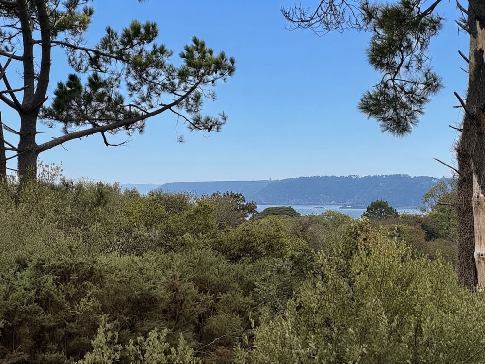 Vente Maison Charme Néo-Breton et Nature : Maison Familiale de 5 Chambres sur 8 000 m² Crozon