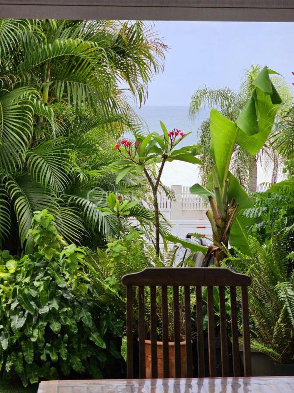 � vendre  Propri�t�/ch�teau Sainte-Anne (97180)