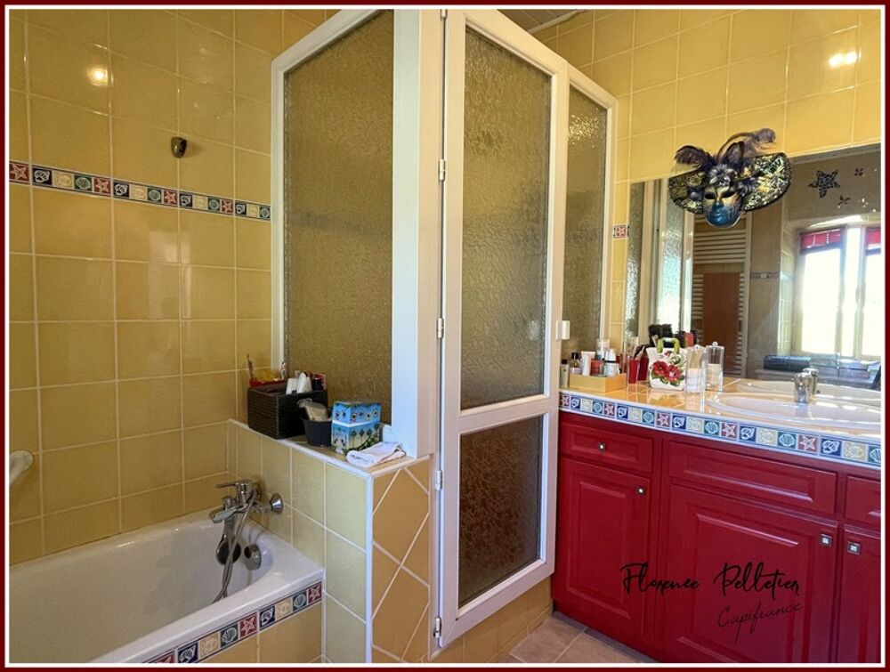 à vendre  Maison Puéchoursi (81470)