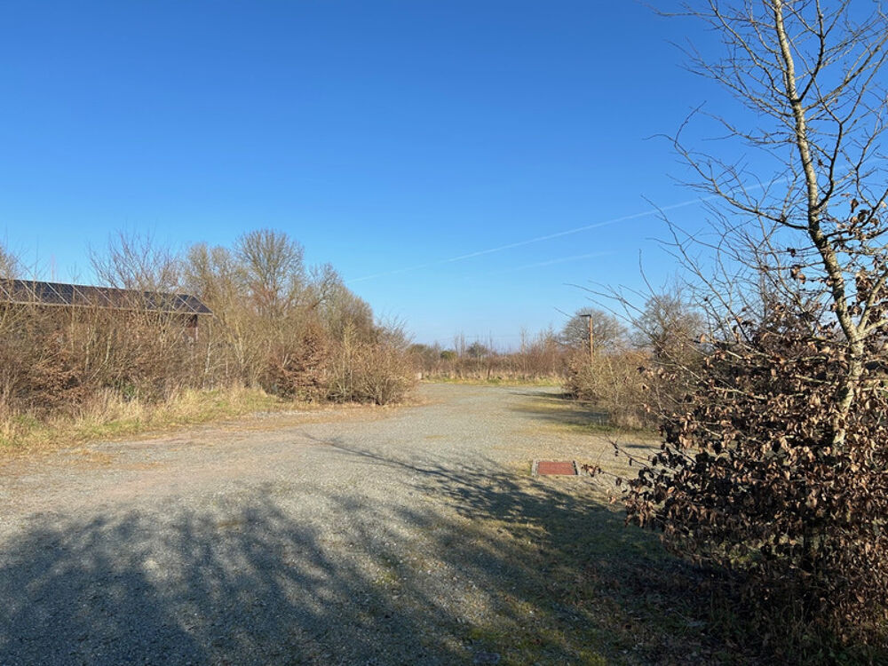 Vente Terrain TERRAIN A VENDRE 1000 M² EN ÉCO-LOTISSEMENT !! Coutieres