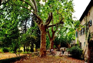  Maison  vendre 11 pices 215 m