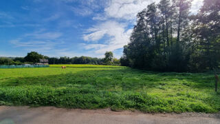  Terrain  vendre 3347 m