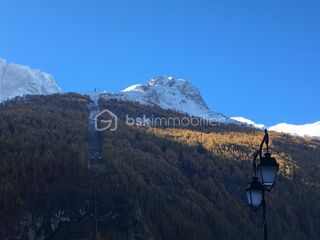  Duplex/triplex � vendre 3 pi�ces 43 m�