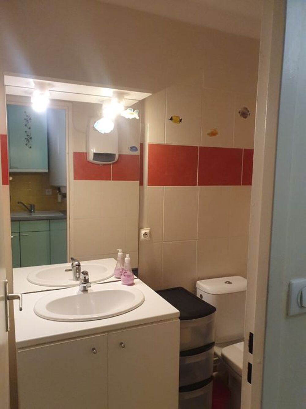 Location Appartement Studio de 25m2 à louer sur Mauguio Mauguio