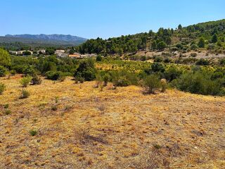  Terrain à vendre 1238 m²