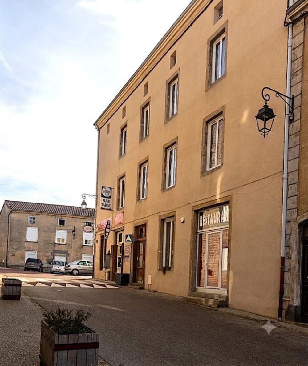 Vente Immeuble Immeuble de 270 m² avec local commercial Balbigny