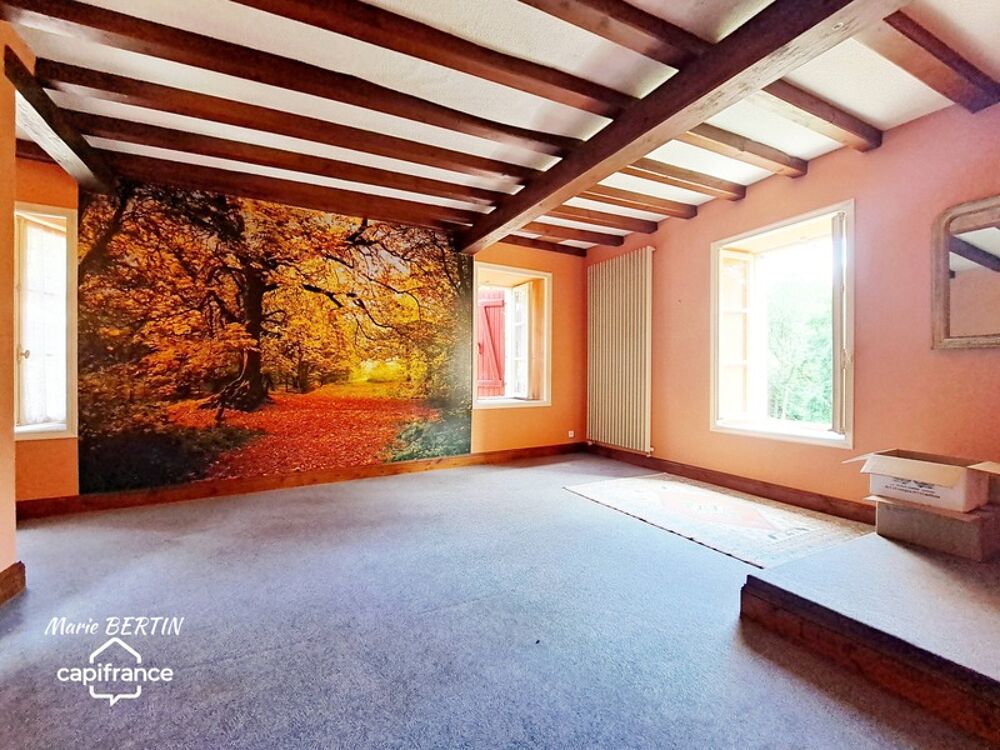 � vendre  Propri�t�/ch�teau Celles-sur-Belle (79370)