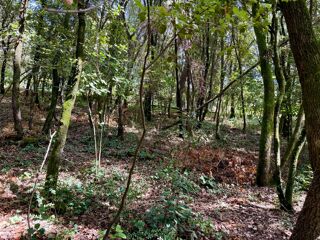  Terrain à vendre 1032 m²