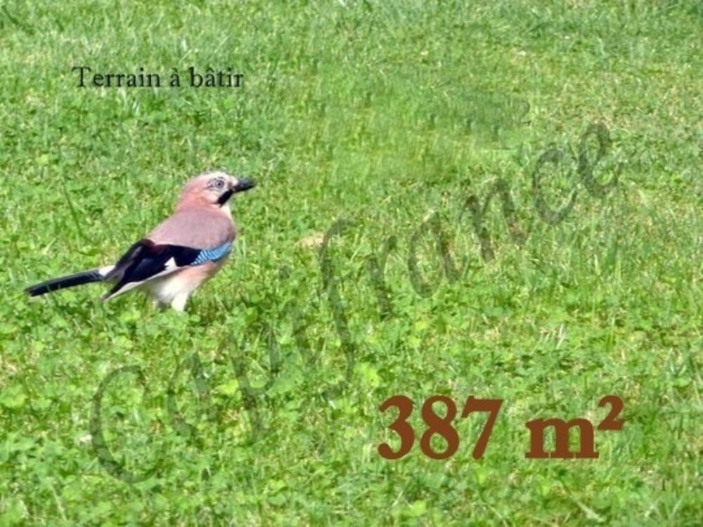 Vente Terrain Terrain à vendre de 387,00 m² BETHENIVILLE (51) Betheniville