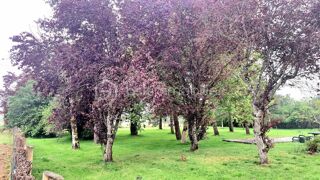  Terrain � vendre 1361 m�