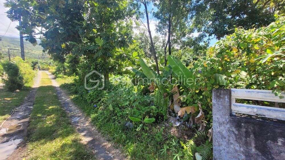Vente Terrain Vente Terrain Constructible de 778 m² Le Baril - Saint-Philippe Saint philippe