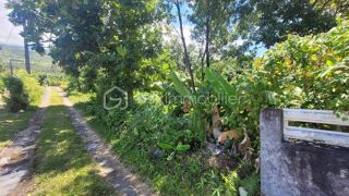 Vente Terrain Vente Terrain Constructible de 778 m² Le Baril - Saint-Philippe Saint philippe