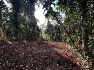  Terrain � vendre 3882 m�