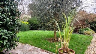  Maison � vendre 2 pi�ces 49 m�