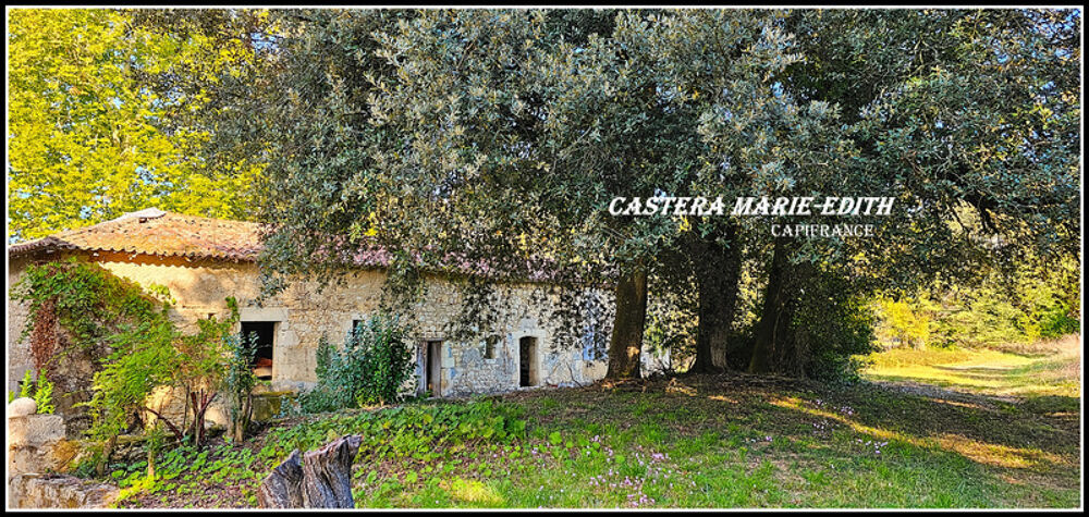  vendre  Proprit/chteau Auch (32000)