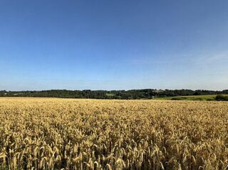  Maison � vendre 1 pi�ce 1600 m�