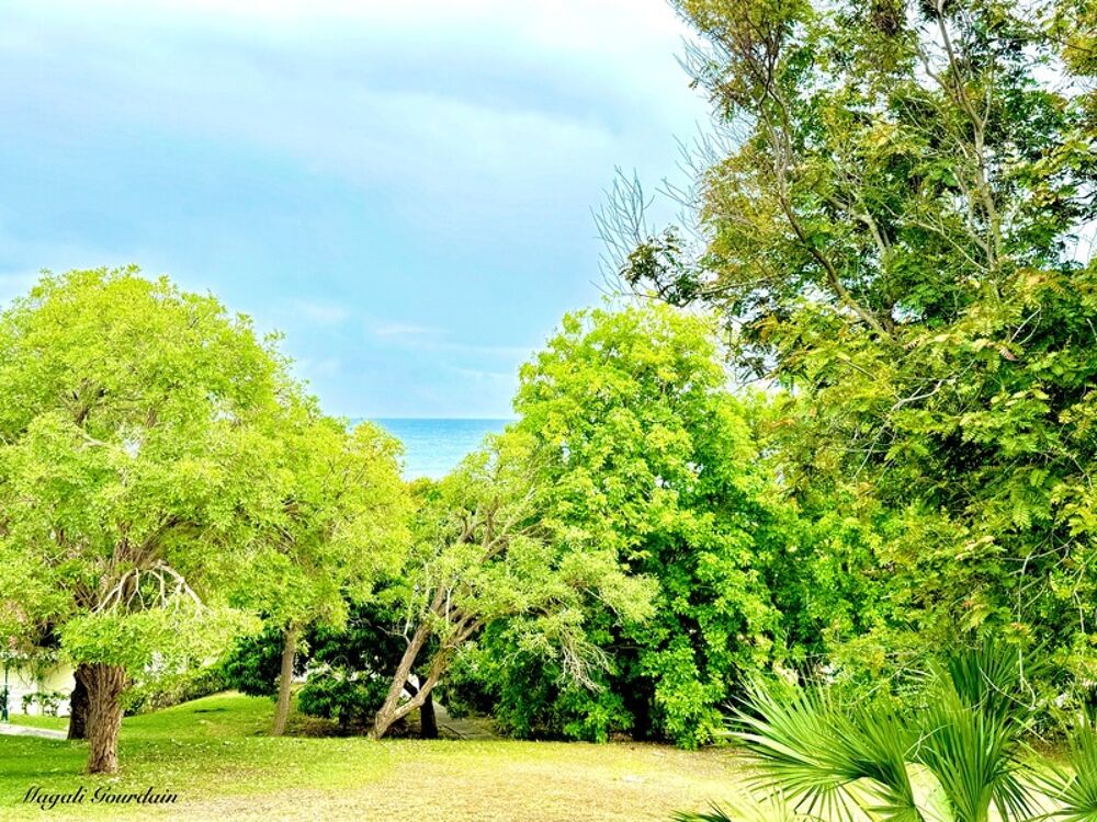 Vente Appartement A VENDRE – GRAND STUDIO MEUBLÉ VUE MER CLÉ EN MAIN EN RÉSIDENCE TOURISTIQUE AVEC ACCÈS DIRECT PLAGE - SAINTE ANNE Sainte anne