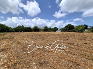  Terrain  vendre 6000 m