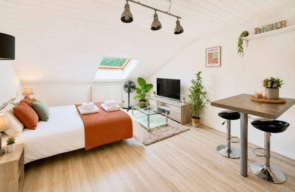 Appartement à vendre 1 pièces MARIGNIER (74)