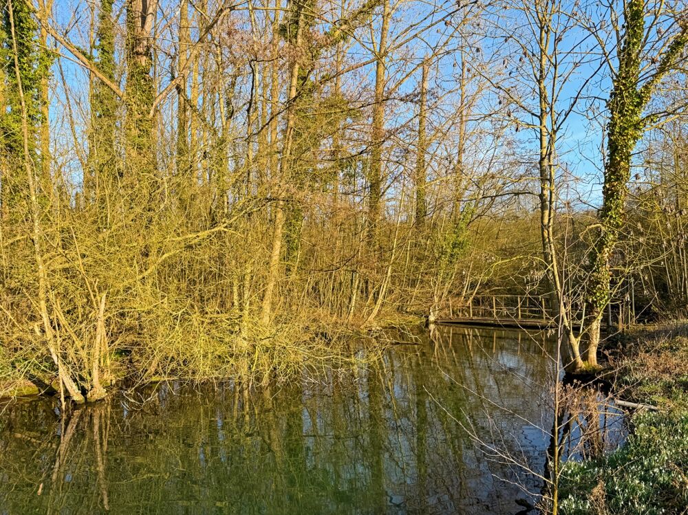 Vente Propriété/Château Demeure de Maître à 15min de Cambrai Cambrai