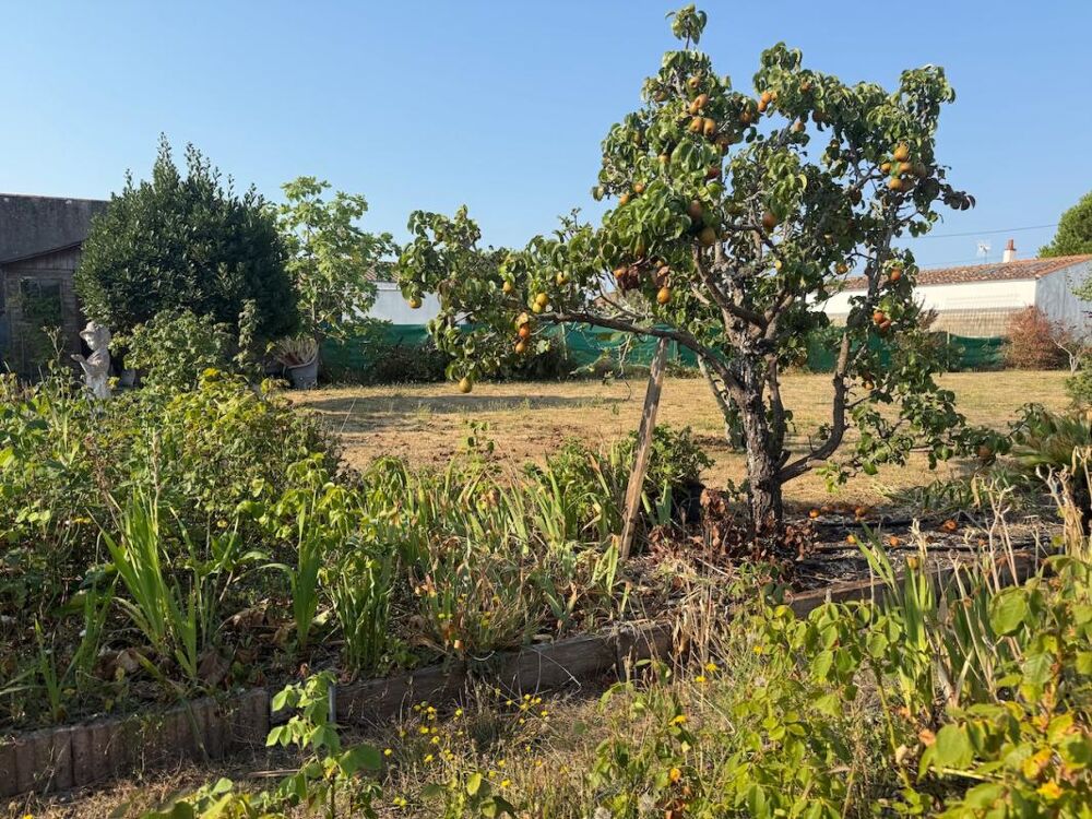 à vendre  Maison Noirmoutier-en-l'Île (85330)