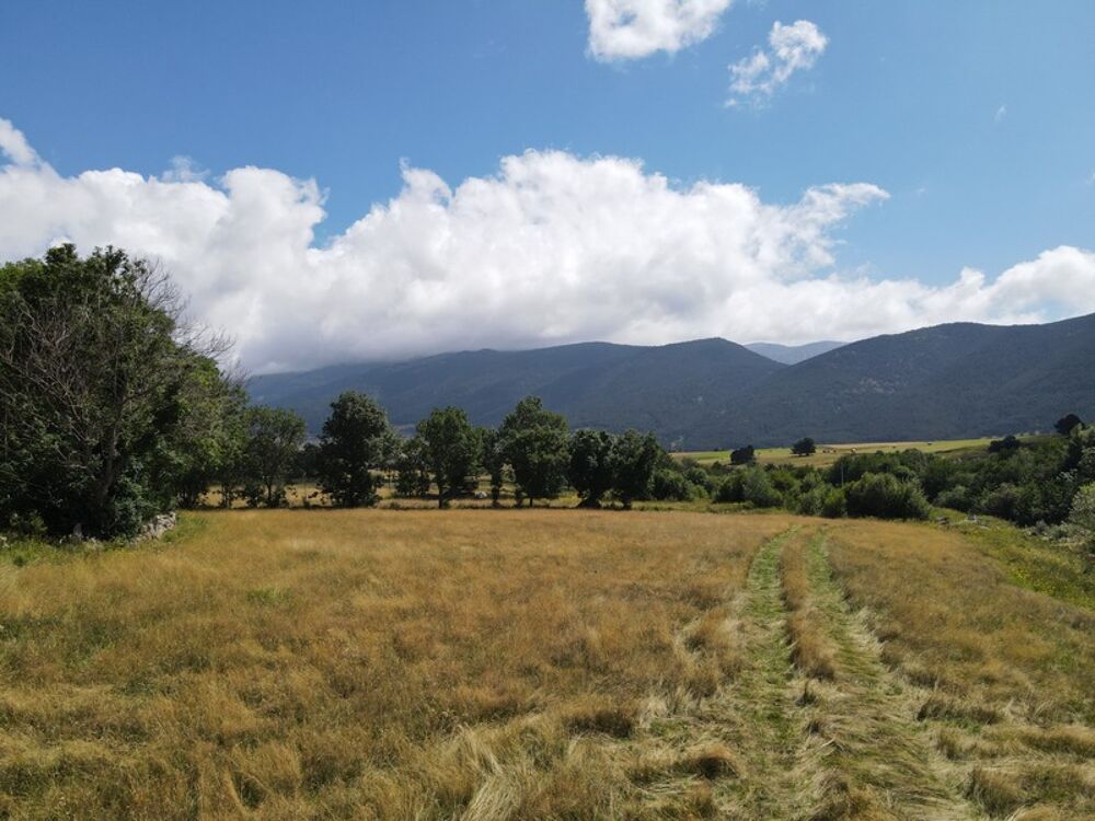 Vente Terrain Les Jardins de Lladure Lot 2 – Terrains constructibles à Formiguères Formigueres