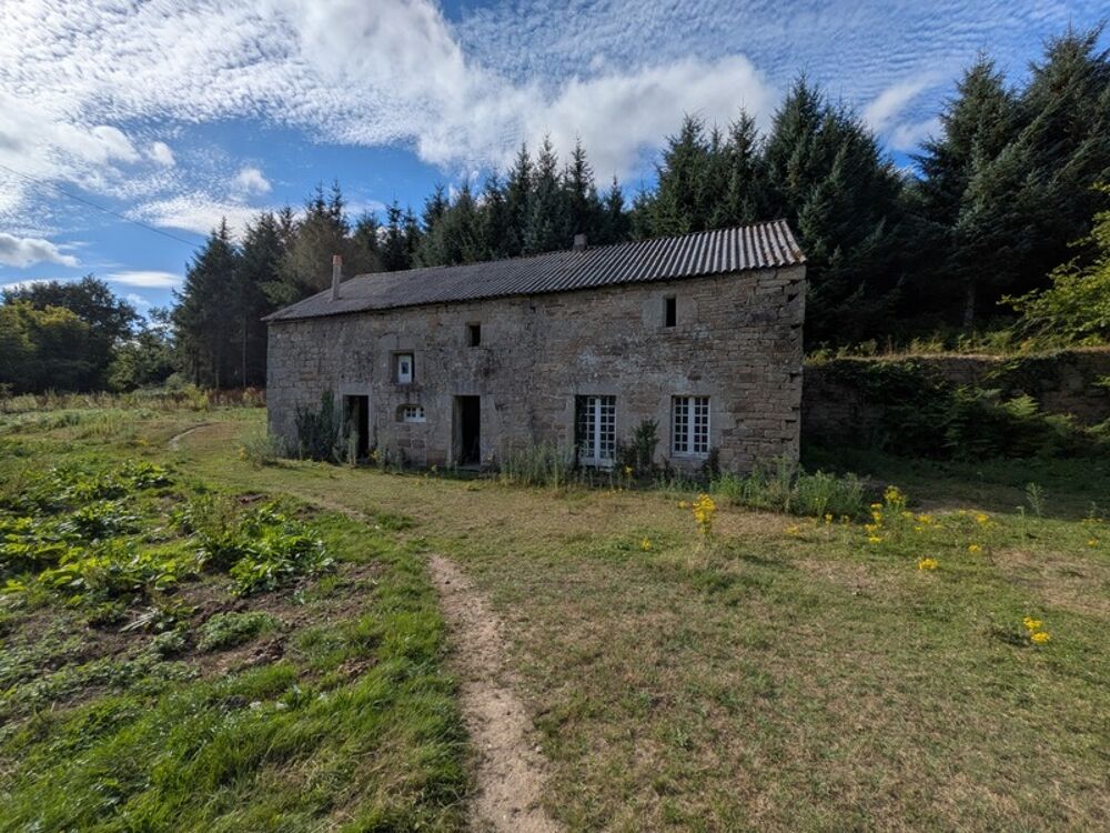 Ensemble de 3 Longères de 430m² au total en pierre a rénover avec appentis et grange parcelle de 8000 m² envrion