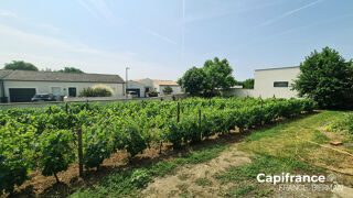  Terrain  vendre 517 m