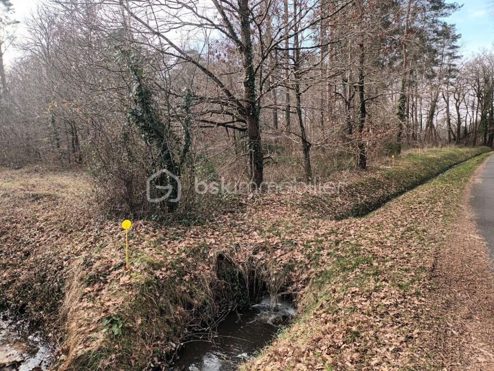 Vente Terrain Au coeur de la Sologne La ferte saint cyr