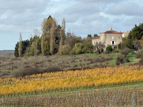 Secteur Castelviel (33) - DOMAINE AGRICOLE, CHATEAU, GITES 480000 33540 Castelviel