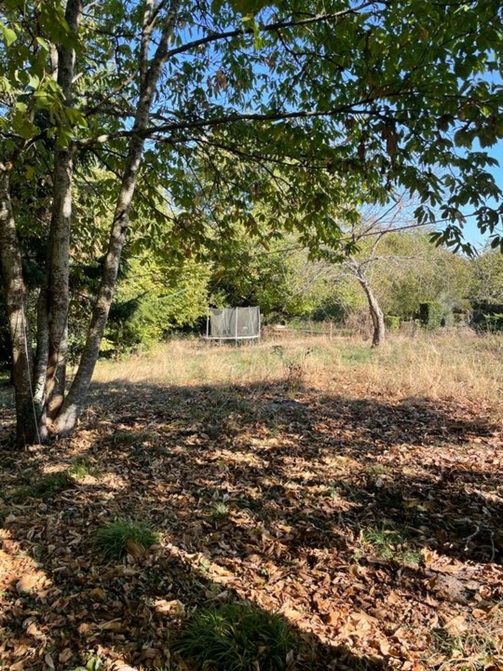 Location Maison Maison de 110m2 à louer sur Chailly-en-Brie Chailly en brie