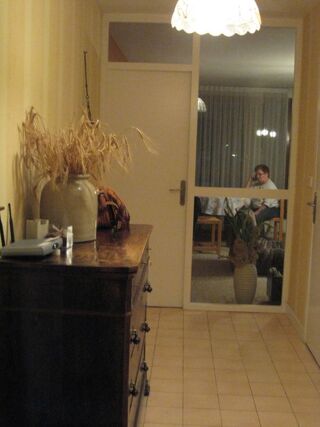  Appartement à louer 1 pièce 15 m²
