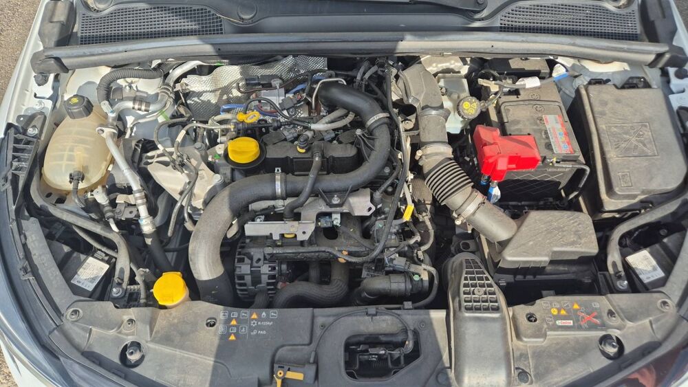Clio 1.0 TCe 90 Intens 2021 occasion 20200 Bastia