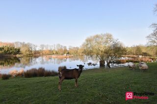  Terrain � vendre 41945 m�