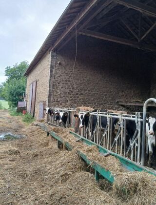  Propri�t�/ch�teau � vendre 5 pi�ces 144 m�