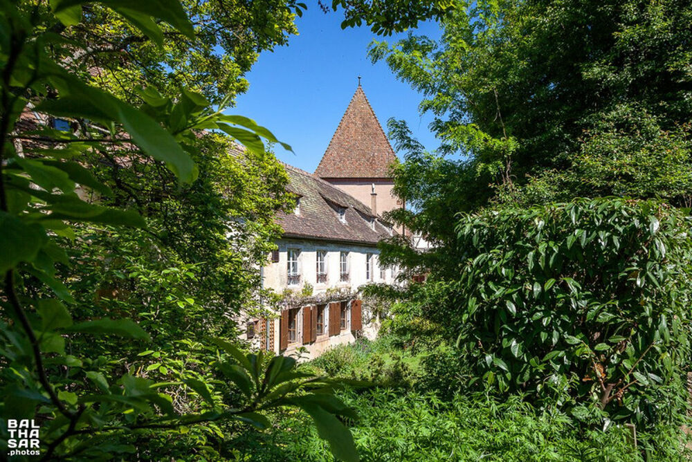 Vente Propriété/Château Propriété exeptionnelle sur 1 hectare à vendre en viager occupé, BOERSCH propriete P15 de 480 m² Boersch