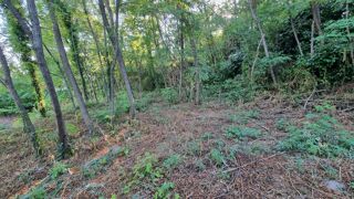  Terrain à vendre 2071 m²