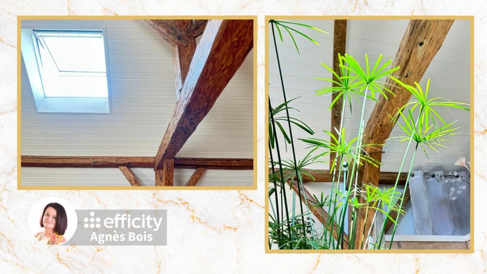  vendre  Maison Fillinges (74250)