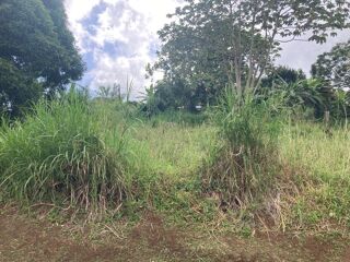  Terrain  vendre 1424 m