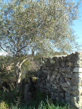  Terrain � vendre 6270 m�