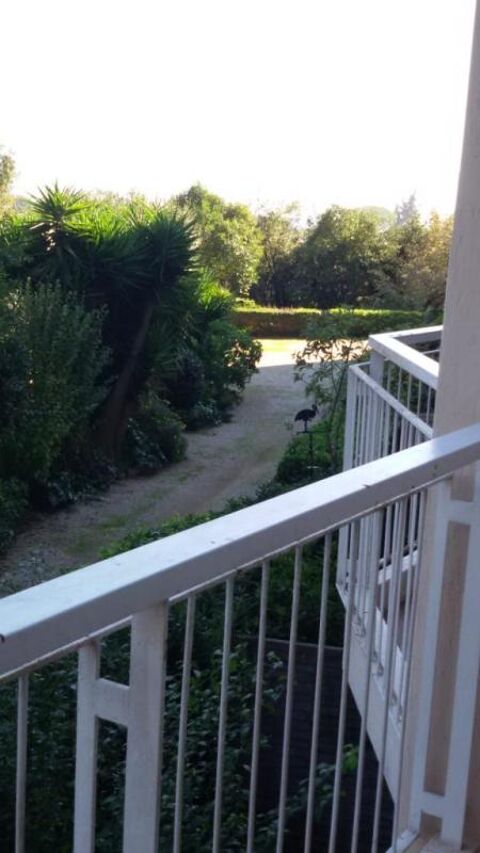  Appartement � louer 2 pi�ces 55 m�