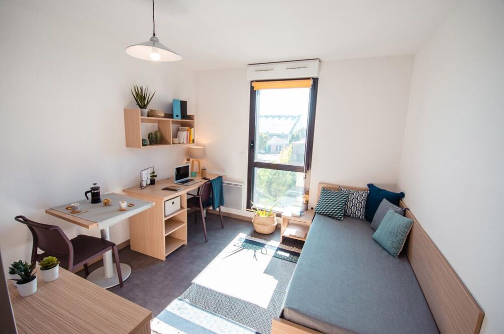 Spécial Investisseur Campus Briffaut Studio 19m²