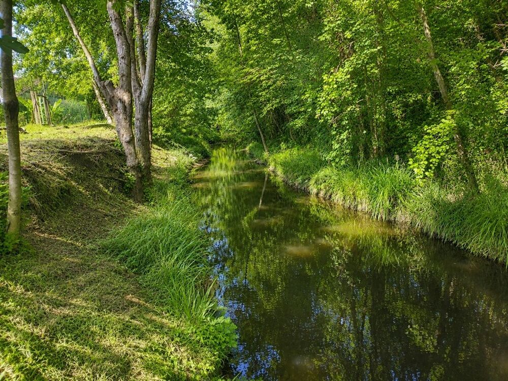 Vente Maison Maison familiale 5 chambres au calme, sans vis-à-vis, avec piscine et rivière en fond de jardin Cours de pile
